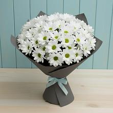 Букет цветов из:  Хризантемы #REPLACE_PRED# Котляревской