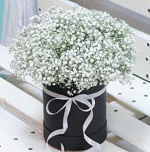 Цветочная композиция из Гипсофила в шляпной коробке в Котляревской