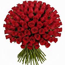 Букет Красные розы Чери Лав #REPLACE_PRED# Котляревской